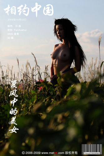 MetCN 相约中国 – 2009-10-12 – Deng Jjing – Summer Wind in the Beauty – by Fan Xuehui (30) 3500px