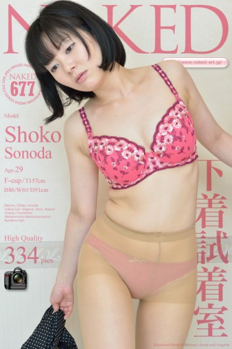 Naked-Art – 2013-08-27 – NO.00677 – Shoko Sonoda 園田彰子 – 下着試着室 (334) 2832×4256